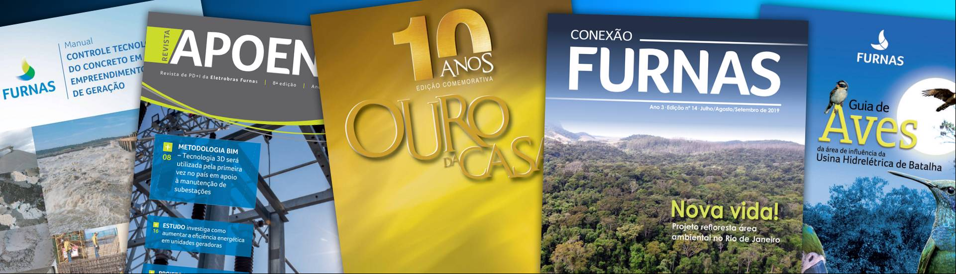 Divulgação